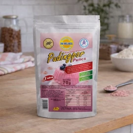 Dia-Wellness Puncs ízű cukormentes pudingpor TRIO 3×70 g - Reform Nagyker
