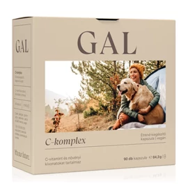 GAL C-komplex