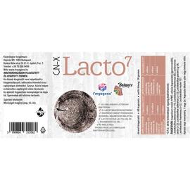 Freyagena Balance Lacto7 CN-X Kapszula 60 db – Natur Reform