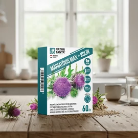 Natur Tanya® Máriatövis MAX + Kolin DUO 2X60 db – 210 mg szilimarin tartalmú vegán tabletta máj és epe egészségéhez