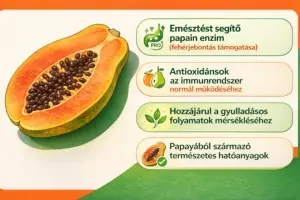 Papaya - az emésztés és az immunrendszer szolgálatában