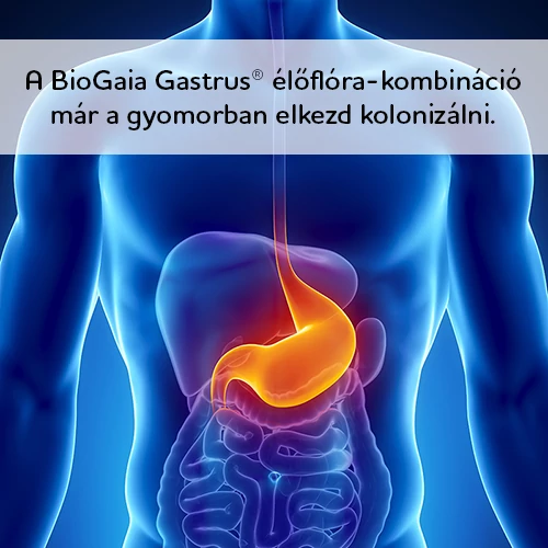 BioGaia Gastrus Total rágótabletta 30 db