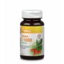 Kép 1/2 - Vitaking C-Vitamin TR Csipkebogyóval 1000 mg - 60 db – Natur Reform